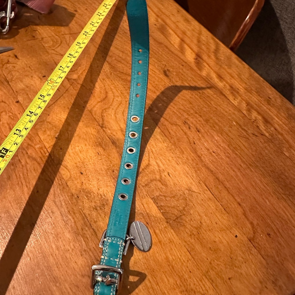 COACH Teal Leather dog collar with Silver Buckle